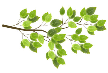 Obraz premium 新緑 葉 春 アイコン