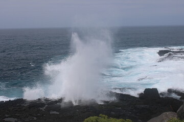 waves crashing on rocks