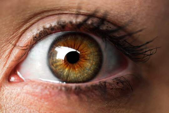Ojo