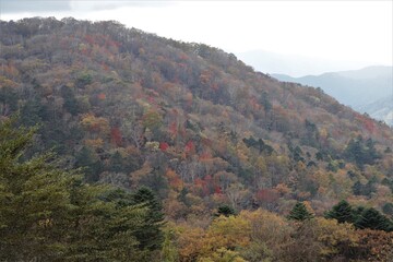 群馬県鹿沼市の横根高原
