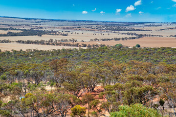 Mount Brown Lookout with views of the town of York and Mt Bakewell