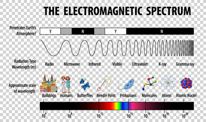 Science Electromagnetic Spectrum diagram on transparent background