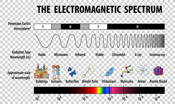 Science Electromagnetic Spectrum diagram on transparent background