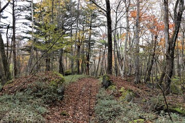 群馬県鹿沼市の横根高原