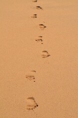 Fototapeta na wymiar A single footprint in the sand