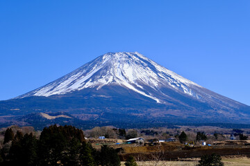【山梨】富士ヶ嶺から見る富士山（冬）