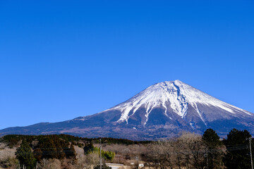 Fototapeta premium 【静岡】富士宮から見る富士山（冬）