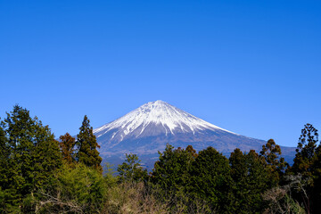 【静岡】白糸の滝から見る富士山（冬）