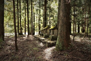 群馬県鹿沼市の大葦神社