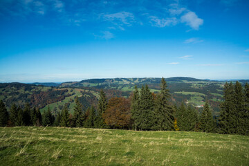Fototapeta premium beautiful sunny day in the country