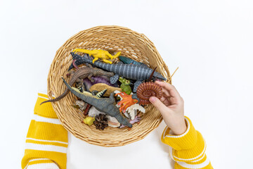Top view of a girl's hands playing and sorting figures of prehistoric animals in the Montessori...