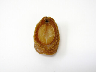 dry abalone, Abalone, Dried Abalone