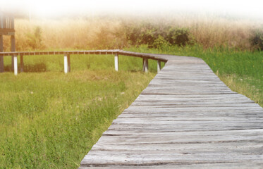 View of a wooden walkway in the natural grass with fog in morning.