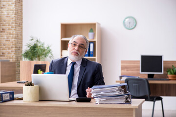 Old male employee working in the office