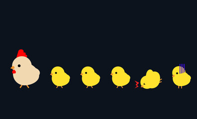 Cute Chicken family walking