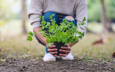 Closeup image of a woman growing plant in the garden