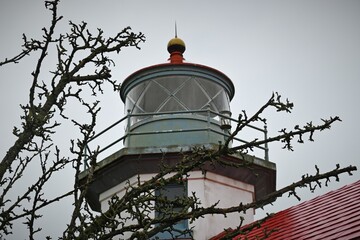 Lighthouse with a tree