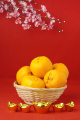 tangerine or mandarin orange in rattan basket with golden chinese ingot on red background with blurred image of sakura flower on the backdrop. suitable for chinese new year greeting or ang pow packet 