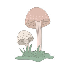 Mushroom with grass vector illustration, isolated colored hand drawn style