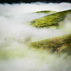 Misty morning, Farmland