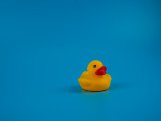 Duck toy isolated on a blue background.