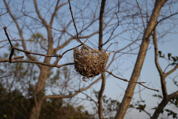 日本の岡山県備前市の笹尾山の風景