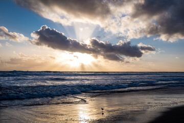 Fototapeta premium sunset on the beach