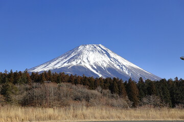 朝霧の富士山