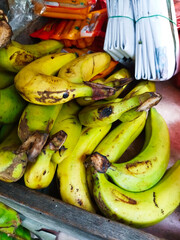 Fresh bananas are picked from the tree, bananas are a fruit that can be cooked by anything, and will still be delicious, can be fried, boiled, steamed, etc.