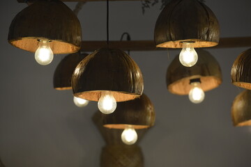 Hanging light probe that is made from coconut seed 