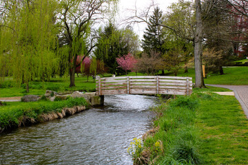 wooden bridge in the park