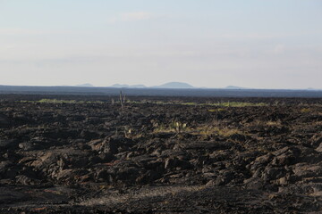 Volcanic landscape in the Galapagos Islands.