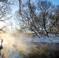 Frosty winter landscape with forest river during sunny january morning.

