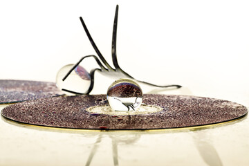 Concept with fork bird on fantasy background 