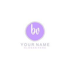 BV Initial handwriting logo template vector