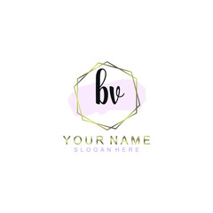 BV Initial handwriting logo template vector