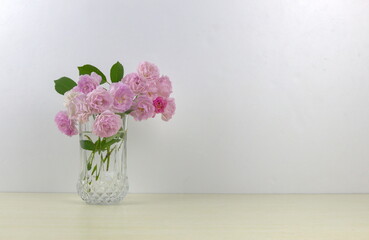 Pink rosa chinensis in glass vase on white background