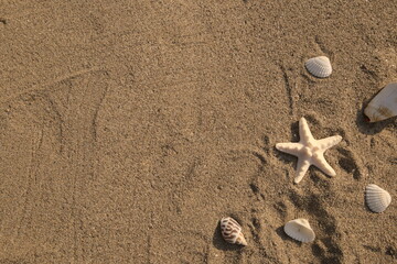 Fototapeta na wymiar Starfish, shells and conchs on beach. Top view of sand texture with copy space