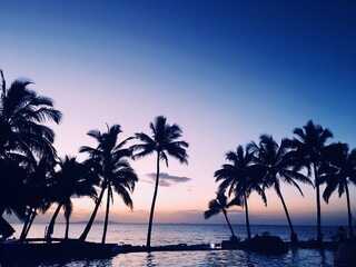Naklejka na ściany i meble Silhouette Palm Trees On Beach Against Sky During Sunset