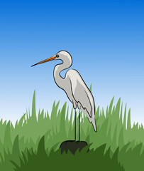 Crane stock illustration , Bird standing on Rock vector