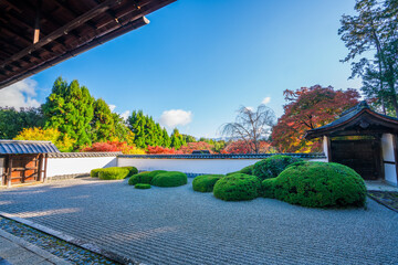 Obraz premium 京都 正伝寺（しょうでんじ）の紅葉