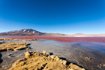 Laguna Colorada view, Bolivia
