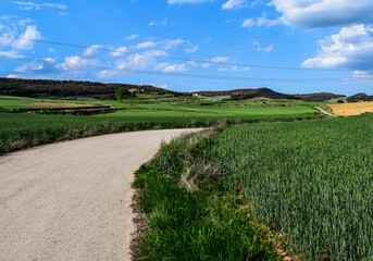 Paisaje primaverales con carretera en un día soleado.