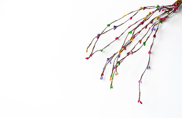 Colored willow branch on a white background with space for text.