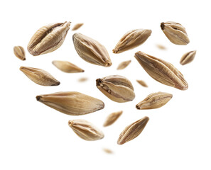 Barley malt grains in the shape of a heart on a white background