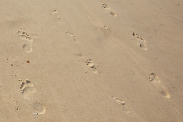 Fototapeta na wymiar Footprint in sand beach ocean in background sea