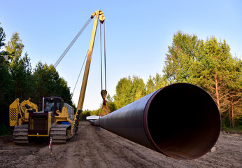 Natural gas pipeline construction work in forest area.  Petrochemical Pipe on top of wooden...