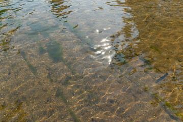 Backgrounds beauty River water waves