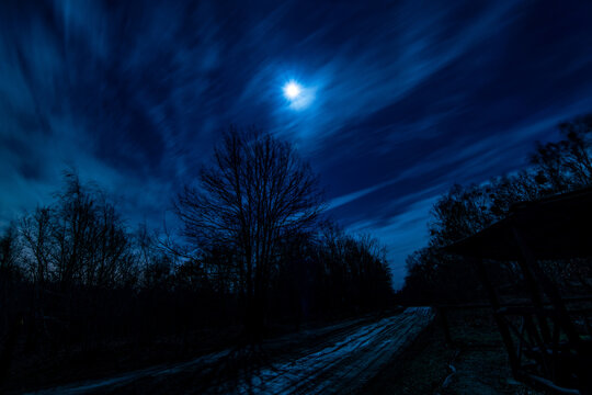 A full moon shining on a rural path in the woods