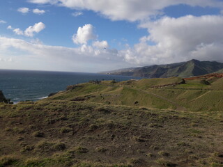 Przyladek Sw. Wawrzynca. Madera